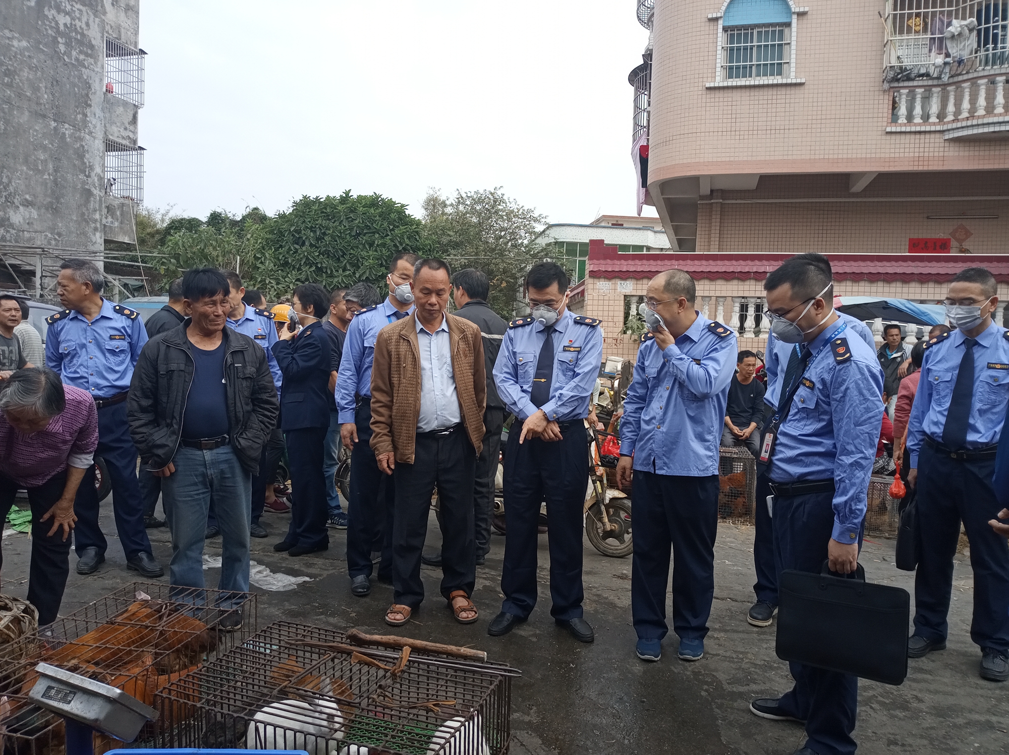 吴总工带队到月山市场检查.jpg