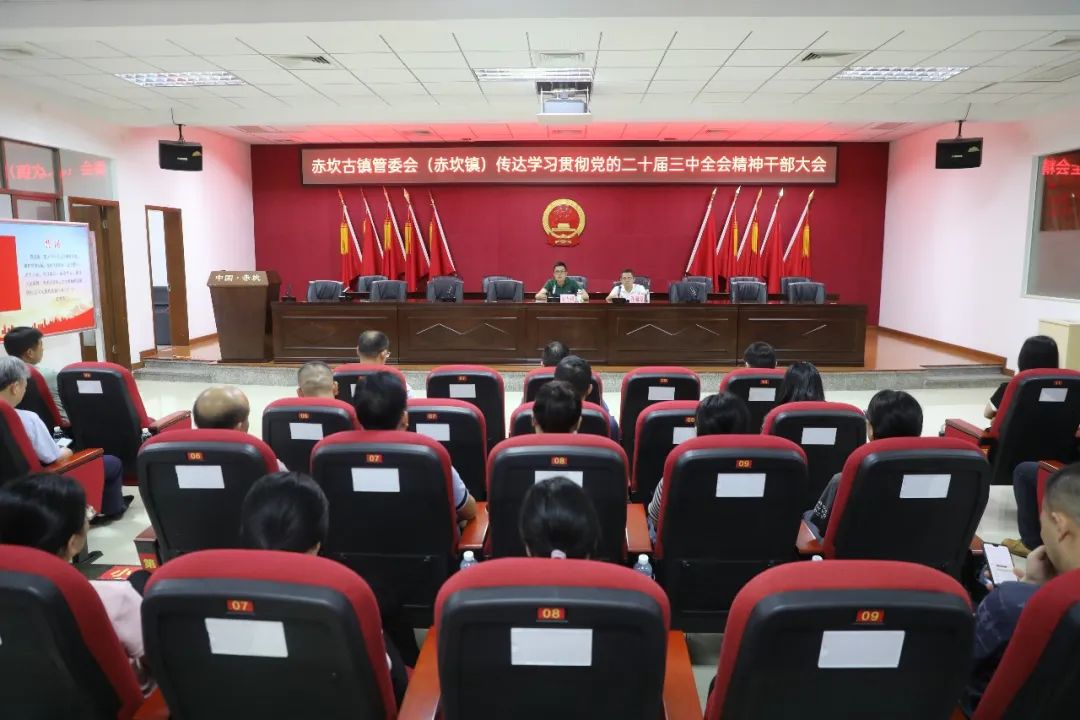 赤坎古镇管委会（赤坎镇）召开传达学习贯彻党的二十届三中全会精神干部大会
