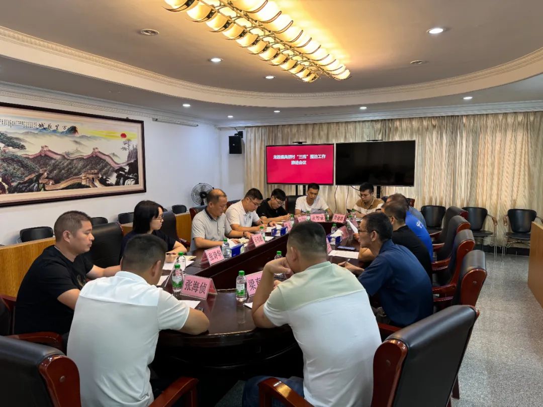 龙胜镇全力推进“三线”改造，助力安全颜值双提升